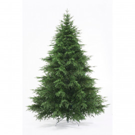  Полина